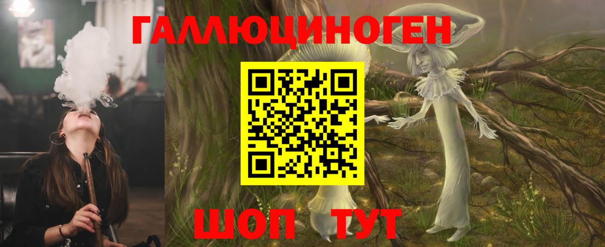 Галлюциногенные грибы Psilocybine cubensis Кызыл