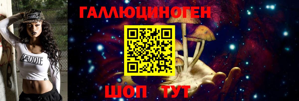 Галлюциногенные грибы Psilocybe  Вход с VPN  Галлюциногенные грибы GOLDEN TEACHER  Кызыл 